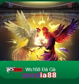 xocdia88
